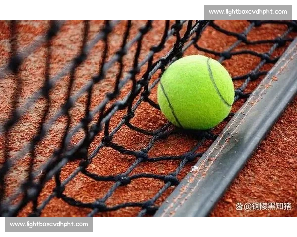 争议！草地、红土、硬地，谁是真正的网球王者