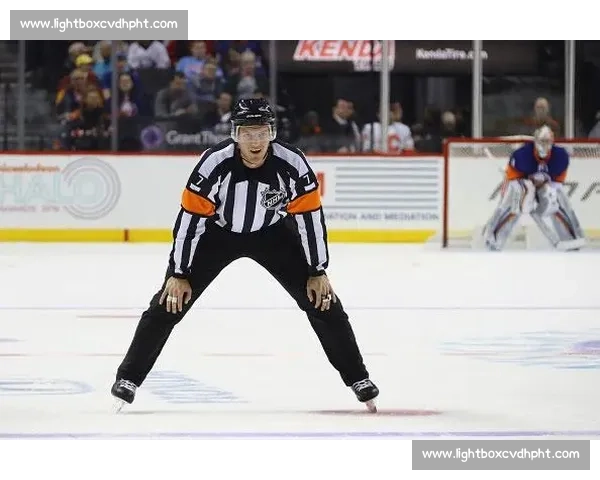 黑袍下的秘密，冰球裁判的公正之眼，直播为你一一展现！