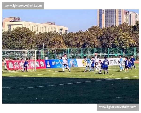 激情碰撞！大洋洲世界杯预选赛，每一场都牵动人心