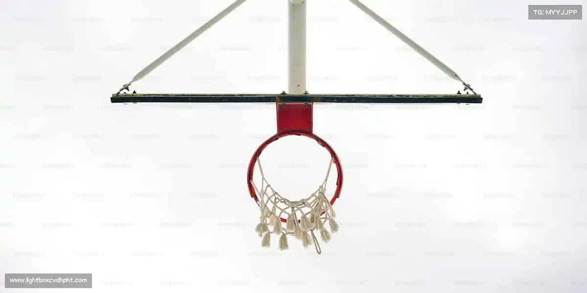 行业领先的理由